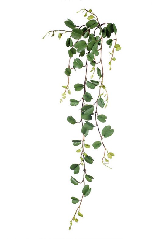 hoya hanging plant artificial